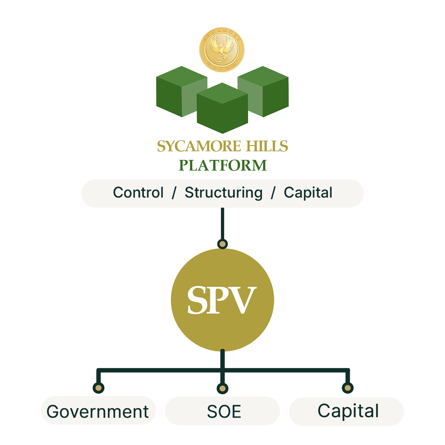 Spv diagram copy